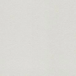 Tapete Weiß Überstreichbar AS-Creation (1016450)