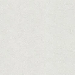 Tapete Weiß Überstreichbar AS-Creation (1016451)