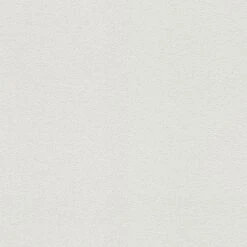 Tapete Weiß Überstreichbar AS-Creation (1016452)