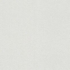 Tapete Weiß Überstreichbar AS-Creation (1016456)