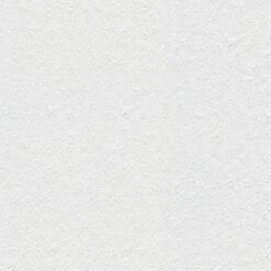 Tapete Weiß Überstreichbar AS-Creation (1016920)