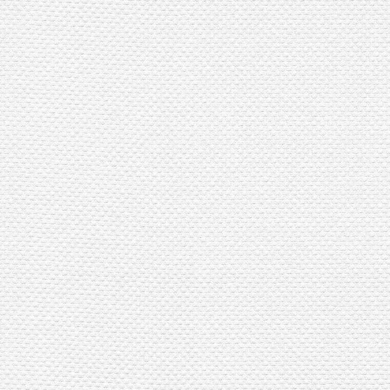Tapete Weiß Überstreichbar AS-Creation (1016921)