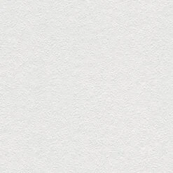 Tapete Weiß Überstreichbar AS-Creation (1016923)