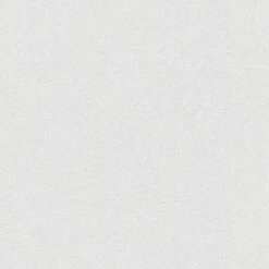 Tapete Weiß Überstreichbar AS-Creation (1044212)