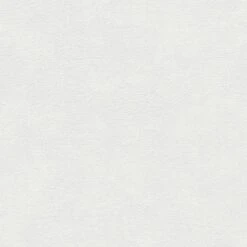 Tapete Weiß Überstreichbar AS-Creation (1044214)