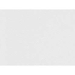 Meistervlies Protect Vliestapete Putzoptik FSC®