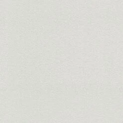 Tapete Weiß Überstreichbar AS-Creation (1022636)