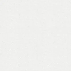 Tapete Weiß Überstreichbar AS-Creation (1022656)