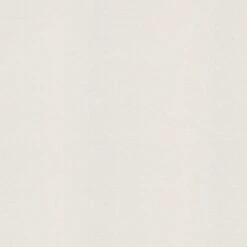Tapete Weiß Überstreichbar AS-Creation (1022659)