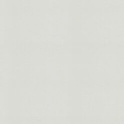 Tapete Weiß Überstreichbar AS-Creation (1022672)