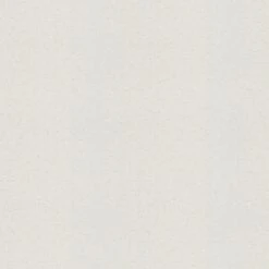 Tapete Weiß Überstreichbar AS-Creation (1022893)