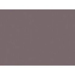 A.S. Création Vliestapete Trendwall Uni Dunkelbraun FSC®