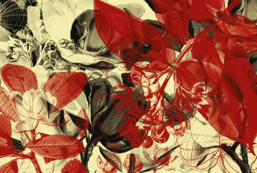 Fototapete Botanical Garden