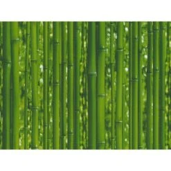 A.S. Creation Papiertapete Dekora Natur Bambus Grün FSC®
