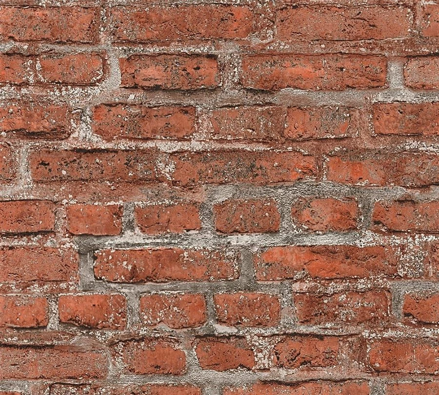 Tapete Lorenzo Braun – Bild 4